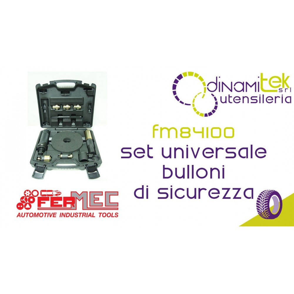 FERMEC FM84100 SET UNIVERSALE PER RIMUOVERE TUTTI I BULLONI DI SICUREZZA Dinamitek 1
