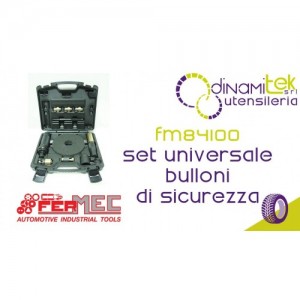 FERMEC FM84100 SET UNIVERSALE PER RIMUOVERE TUTTI I BULLONI DI SICUREZZA Dinamitek 1
