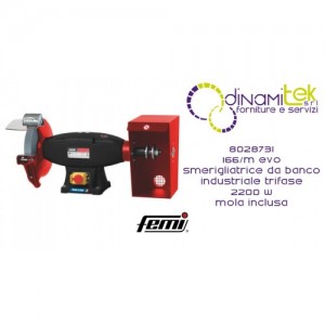 166 / M INDUSTRIELLE KOMBINIERTE TISCHSCHLEIFMASCHINE KABELJAU 8028731 FEMI Dinamitek 1