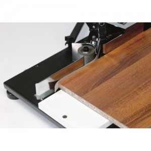 PLAQUEUSE DE CHANT IB 500 COD 8620126 FEMI Dinamitek 5