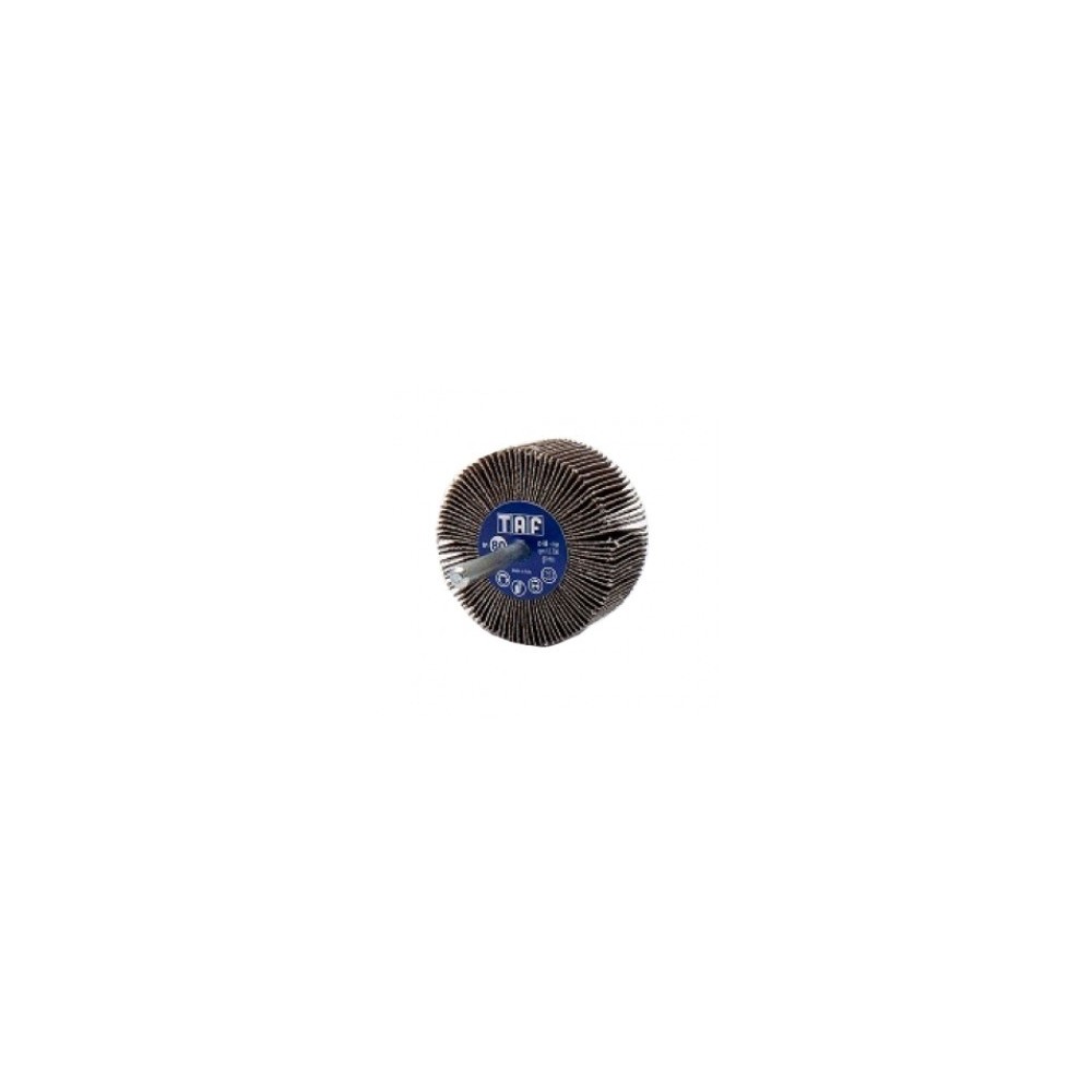 RG17 ABRASIVE WHEEL WITH SHANK 30X20X6 P80 TAF Dinamitek 2