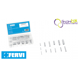 0257 - ASSORTIMENTO CHIAVETTE PARALLELE FERVI Dinamitek 1