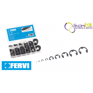 0296 - ASSORTIMENTO ANELLI ELASTICI PER ESTERNI FERVI Dinamitek 1