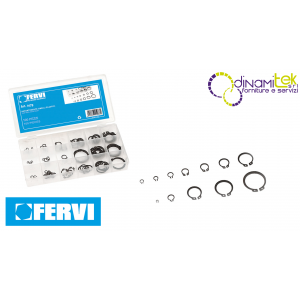 0179 - ASSORTIMENTO ANELLI ELASTICI FERVI Dinamitek 1