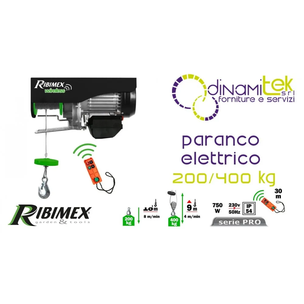 PALAN RIBIMEX PE200/400T - 200/400 KG AVEC TéLéCOMMANDE PRO Dinamitek 1
