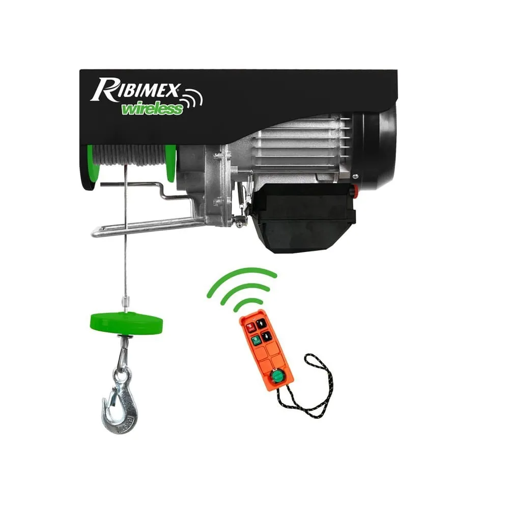 PALAN RIBIMEX PE200/400T - 200/400 KG AVEC TéLéCOMMANDE PRO Dinamitek 2