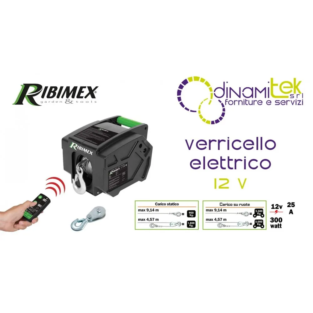 PE12V/T1 - TREUIL éLECTRIQUE 12 V RIBIMEX AVEC TéLéCOMMANDE Dinamitek 1
