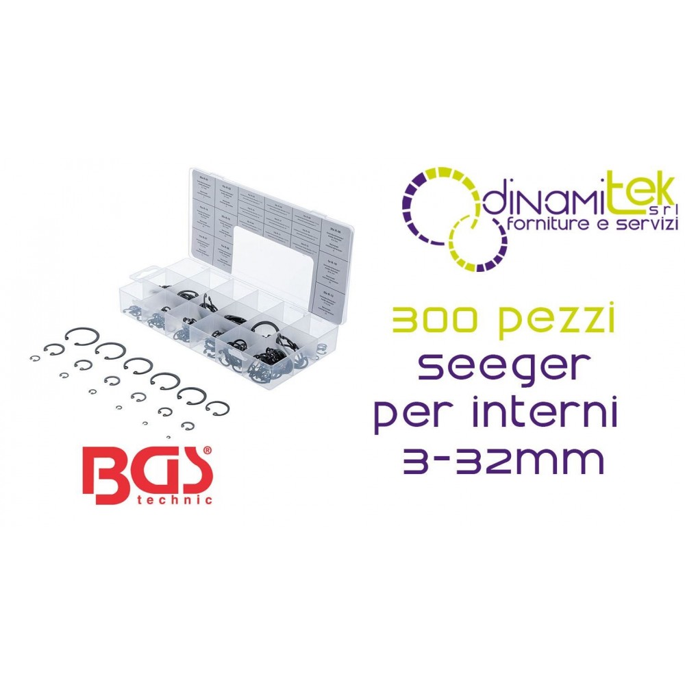 SORTIMENT MIT 300 INNEREN SEEGERRINGEN | | FERMEC BGS8049 BGS TECHNIC Dinamitek 1
