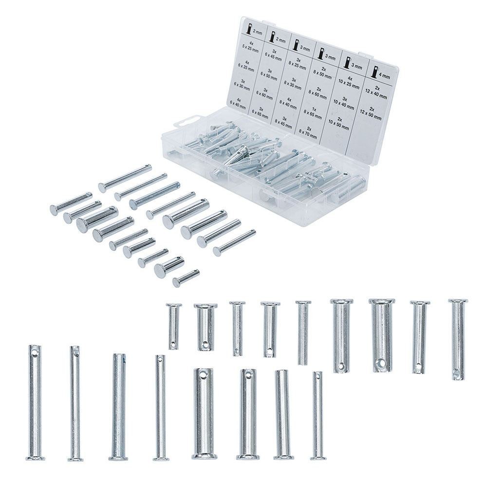 SURTIDO DE 60 PASADORES DE FIJACIóN | | FERMEC BGS8137 BGS TECHNIC Dinamitek 2