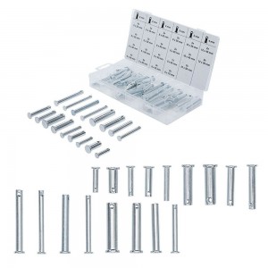 SURTIDO DE 60 PASADORES DE FIJACIóN | | FERMEC BGS8137 BGS TECHNIC Dinamitek 2