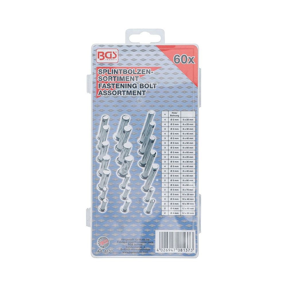 SURTIDO DE 60 PASADORES DE FIJACIóN | | FERMEC BGS8137 BGS TECHNIC Dinamitek 3