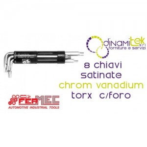 Fermec 903-5010 SERIE 8 CHIAVI SATINATE CHROM VANADIUM TORX® C/FORO Dinamitek 1