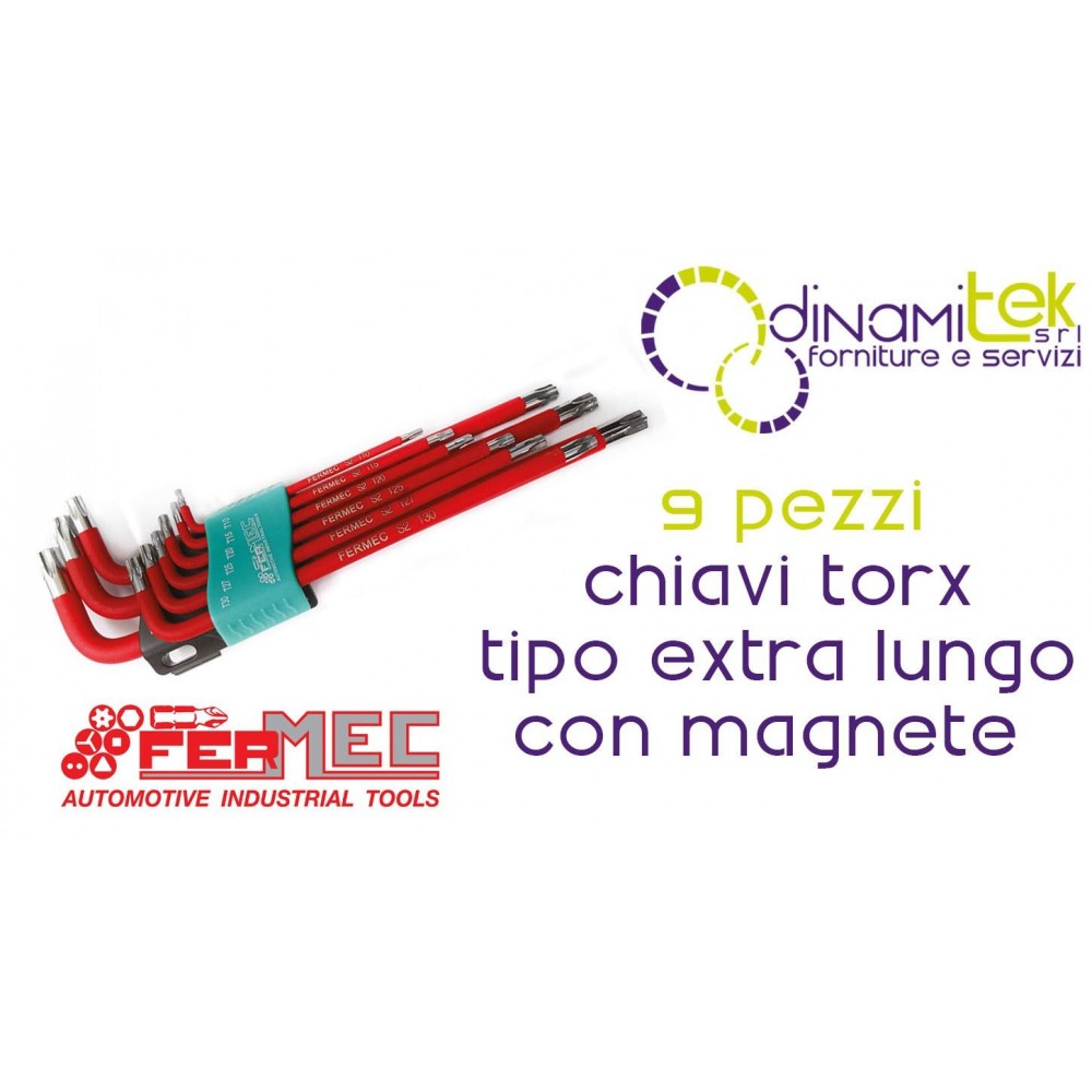 JEU DE 9 CLéS TORX® MAGNéTIQUES EXTRA-LONGUES 96950 FERMEC Dinamitek 1