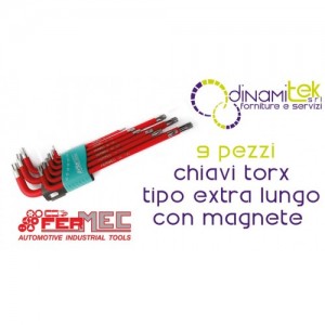 Fermec 96950 SERIE 9 CHIAVI TORX TIPO EXTRA LUNGO CON MAGNETE ALLOGIATO NEL LATO LUNGO Dinamitek 1