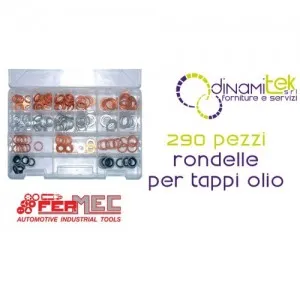 Fermec FER230 ASSORTIMENTO 290 PEZZI RONDELLE PER TAPPI OLIO Dinamitek 1