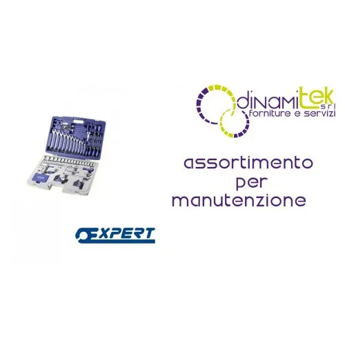 E034806 ASSORTIMENT DE MAINTENANCE PASTORINO EXPERT 124 PIèCES Dinamitek 1