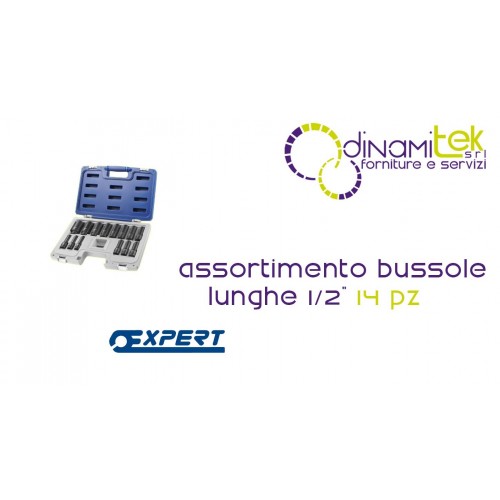E041602 SORTIMENT STECKSCHLüSSELEINSäTZE LANG 1/2" PASTORINO EXPERT 14-TEILIG Dinamitek 1