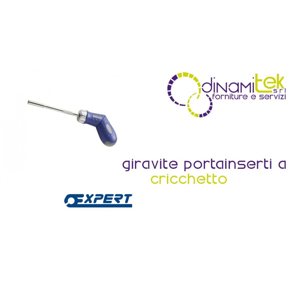 E160802 TOURNEVIS, PORTE-OUTILS à CLIQUET PASTORINO EXPERT Dinamitek 1