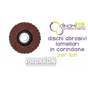 PROXXON 28590 DISCHI ABRASIVI LAMELLARI IN CORINDONE PER LHW Dinamitek 1