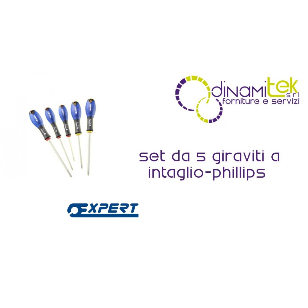E160901 SET OF 5 SCREWDRIVERS IN-SLOTTED-PHILLIPS® PASTORINO EXPERT Dinamitek 1