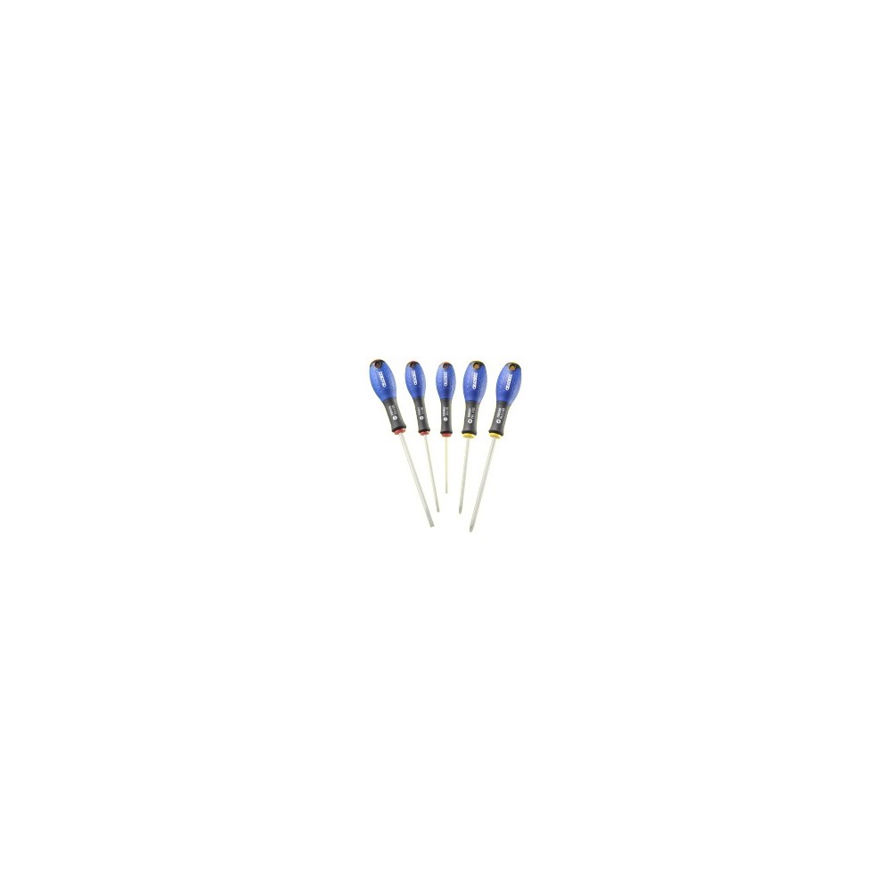 E160901 SET OF 5 SCREWDRIVERS IN-SLOTTED-PHILLIPS® PASTORINO EXPERT Dinamitek 2
