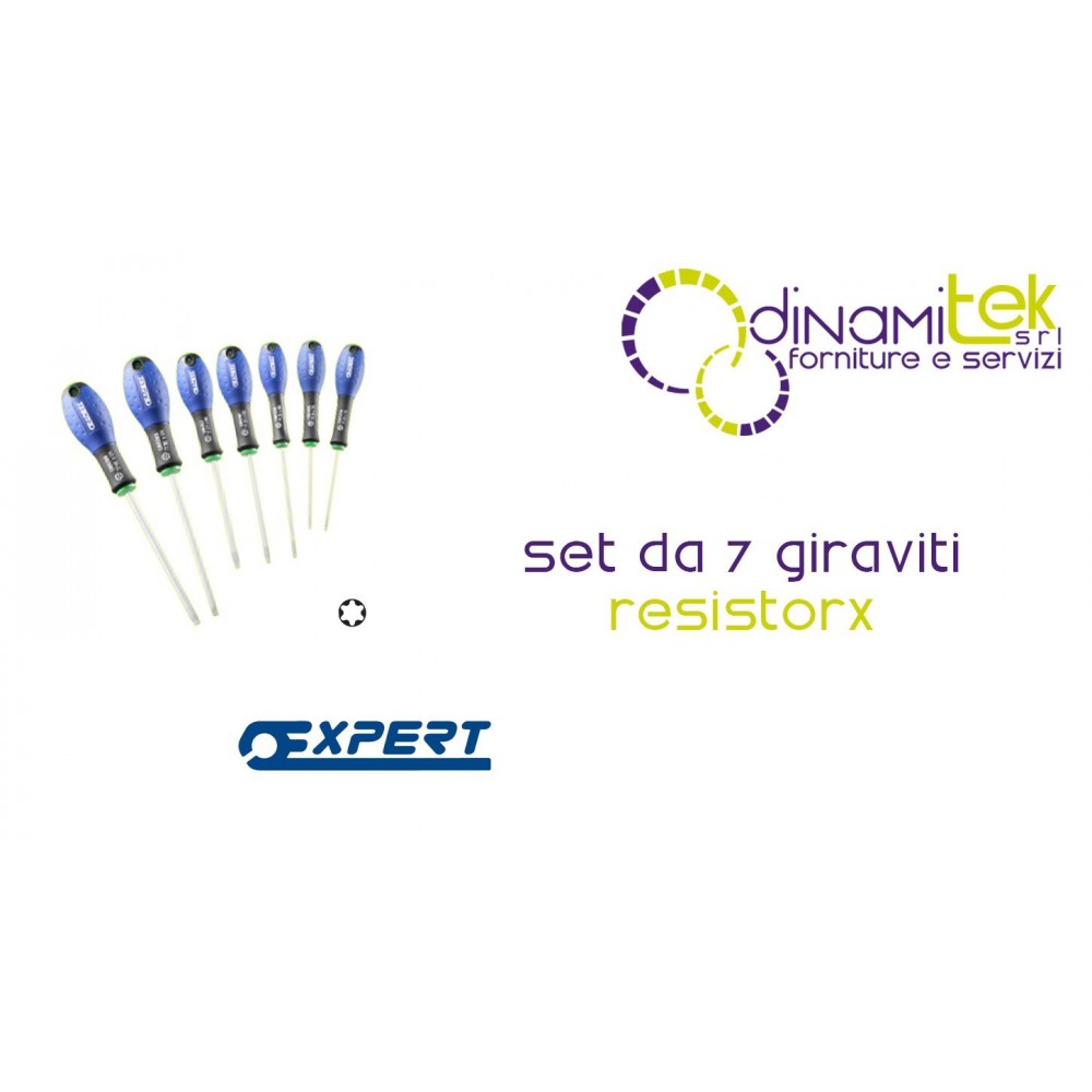 E160909 JEU DE 7 TOURNEVIS RESISTORX® PASTORINO EXPERT Dinamitek 1