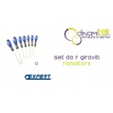E160909 JEU DE 7 TOURNEVIS RESISTORX® PASTORINO EXPERT Dinamitek 1