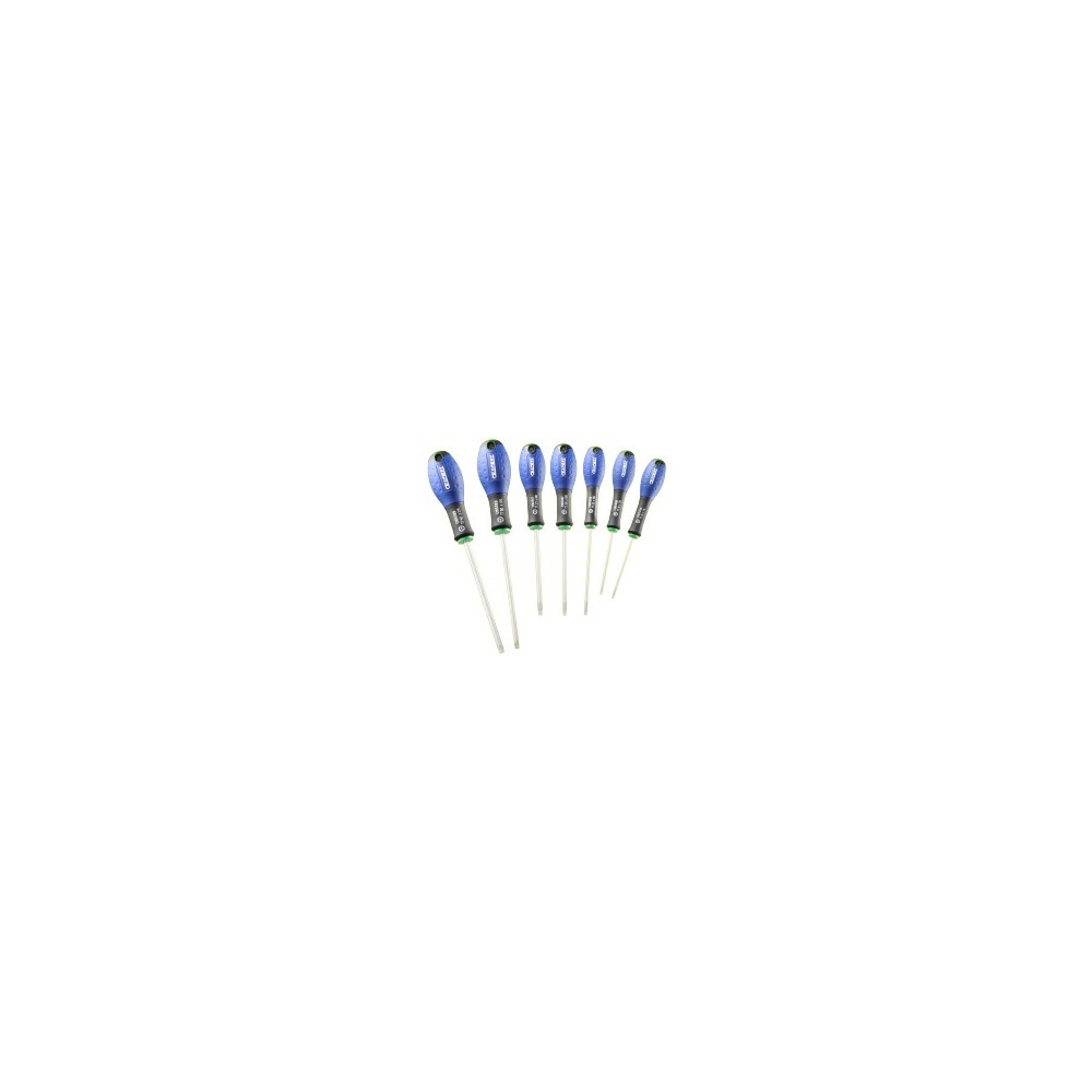 E160909 JEU DE 7 TOURNEVIS RESISTORX® PASTORINO EXPERT Dinamitek 2