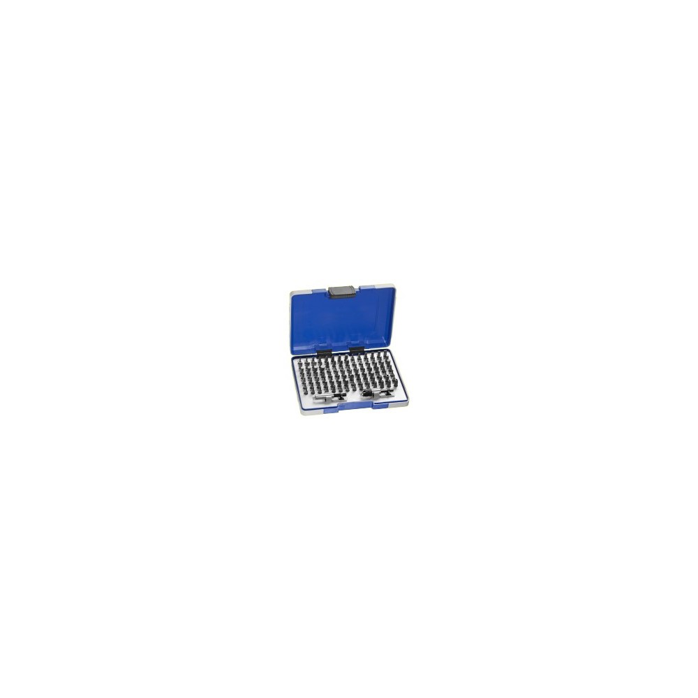 E131709 CUADRO DE INSERCIONES DE 1/4" PASTORINO EXPERTO DE 100 PIEZAS Dinamitek 2