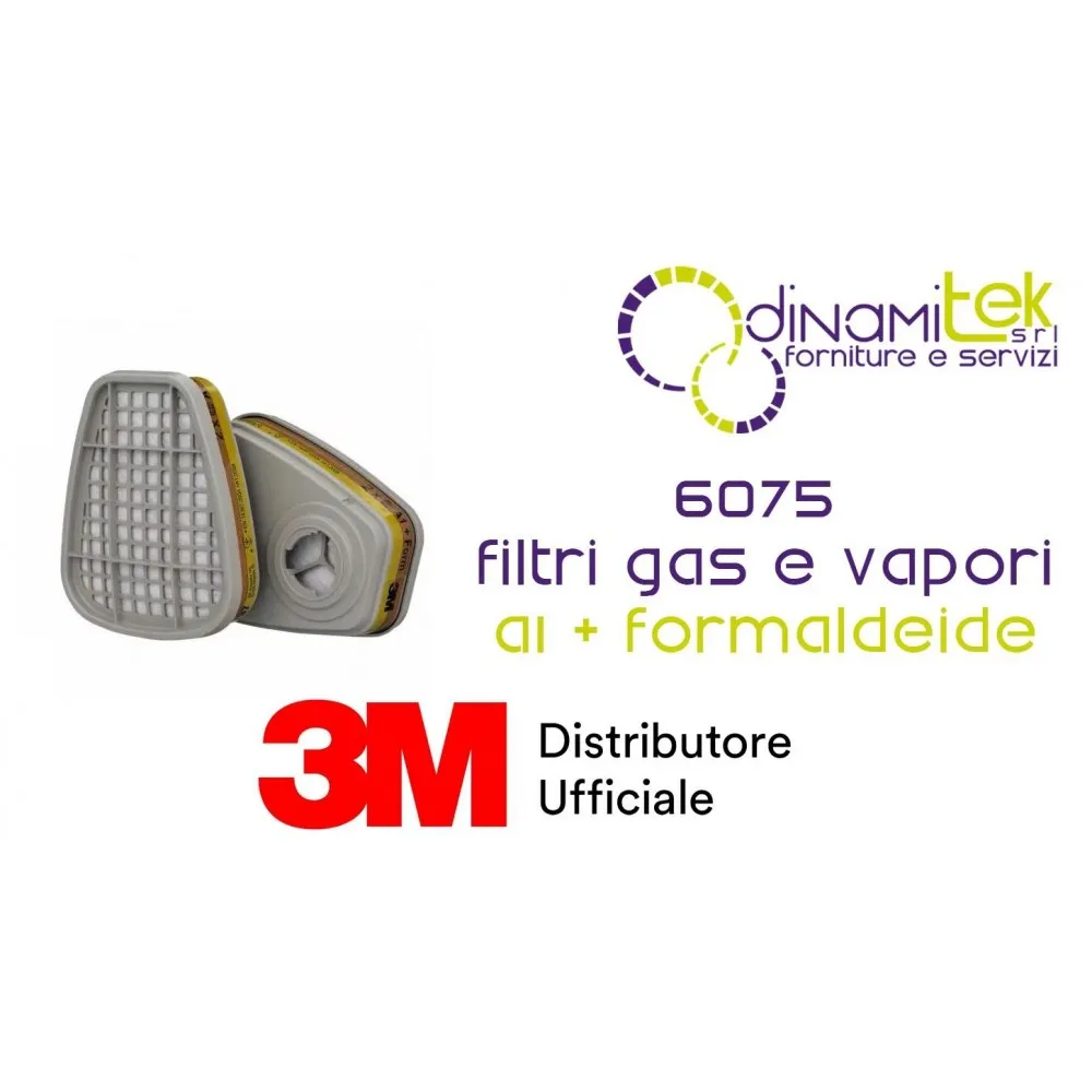 6075 COPPIA FILTRI PER FORMALDEIDE CLASSE A1 3M Dinamitek 1