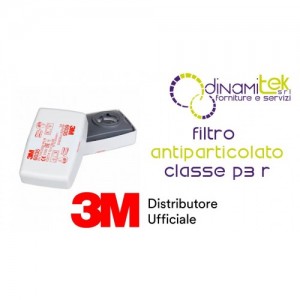 6035 COPPIA FILTRI PER POLVERI CLASSE P3 3M Dinamitek 1