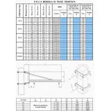 JIB CRANE CANTILEVER BEAM TIRANTATA TO.S.CARLO SAPORITI Dinamitek 3