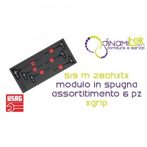 U05191066 519 M 280HXTX MODULO IN SPUGNA BICOLORE ASSORTITO (6 PZ) X-GRIP USAG Dinamitek 1