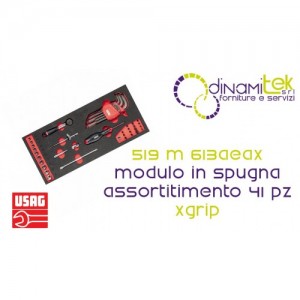 U05191069 519 M 613AEAX MODULO IN SPUGNA BICOLORE ASSORTITO (41 PZ) X-GRIP USAG Dinamitek 1