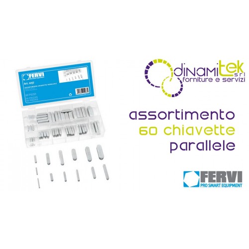 0257 - ASSORTMENT OF FERVI PARALLEL KEYS