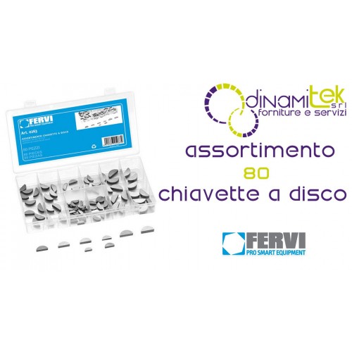 FERVI 0263 ASSORTIMENTO CHIAVETTE A DISCO Dinamitek 1