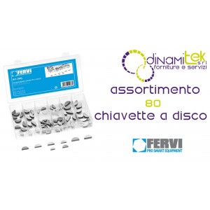 FERVI 0263 ASSORTIMENTO CHIAVETTE A DISCO Dinamitek 1