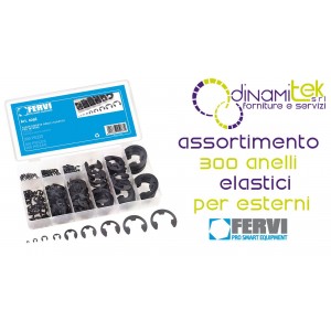 FERMI 0296 ASSORTIMENTO ANELLI ELASTICI PER ESTERNI Dinamitek 2