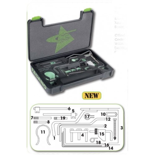 SET PHASE MOTORS PSA FASANO TOOLS 1.9 D, 2.0 D HDI, 2.2 D HDI Dinamitek 2