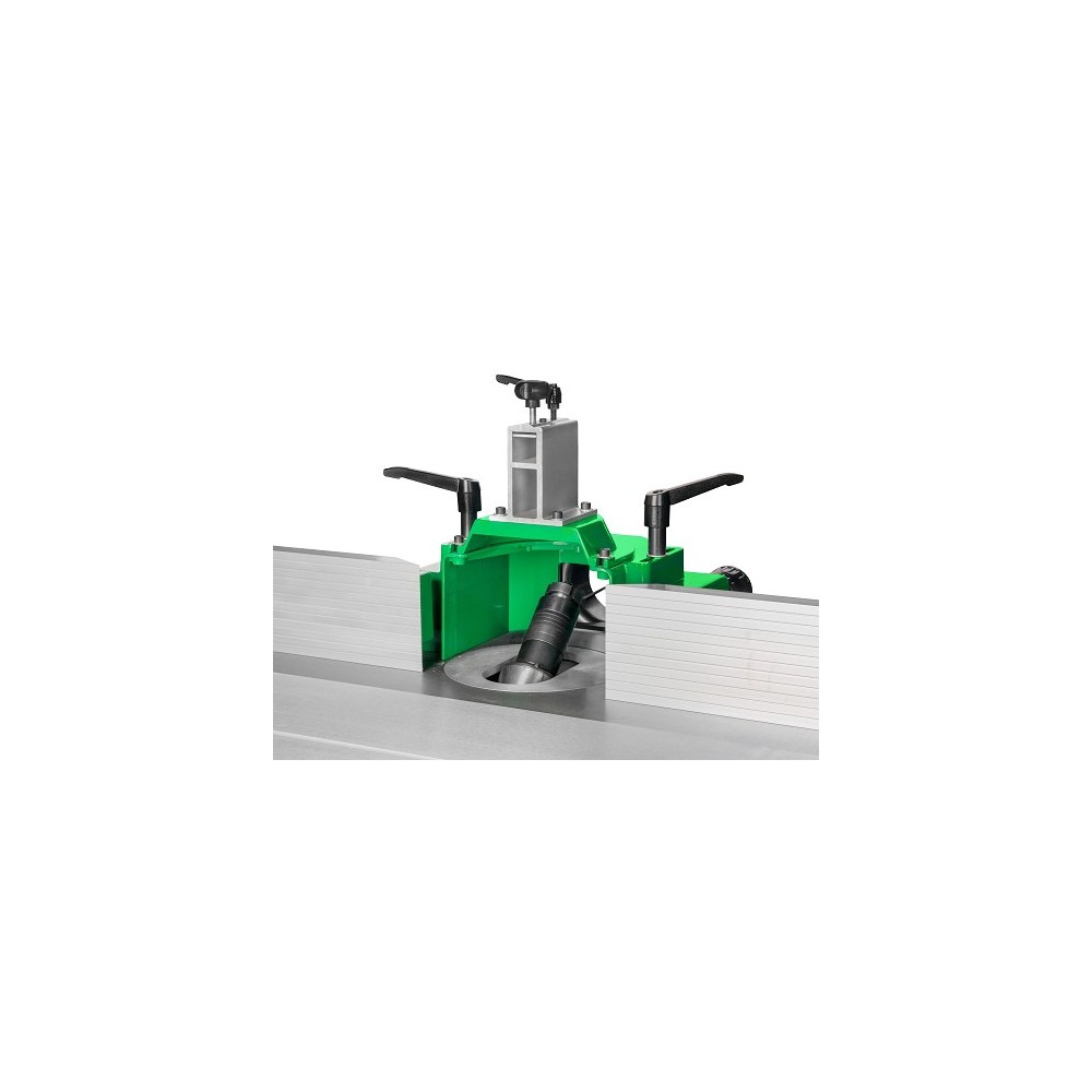HOLZKRAFT - HOL5902000 - MILLING MACHINE, MODEL TF 200 SE, WITH SLIDING TABLE AND SPINDLE SWIVEL - SIZE 1000X360 MM Dinamitek 2