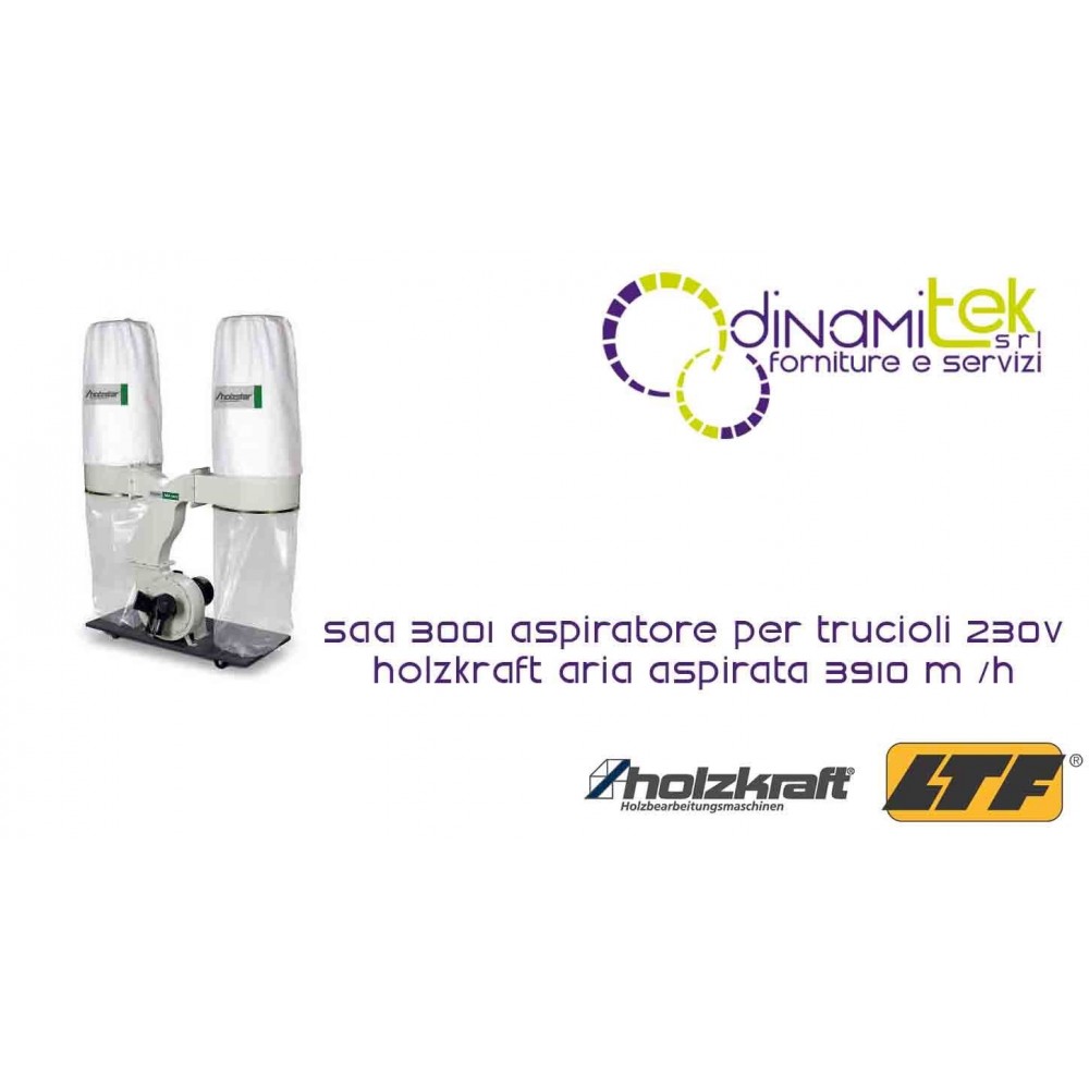 HOLZKRAFT - HOL5922301 - EXTRACTEUR POUR LES PUCES 230V - MODèLE AAS 3001 - AIR D'ADMISSION 3910 M3/H Dinamitek 1