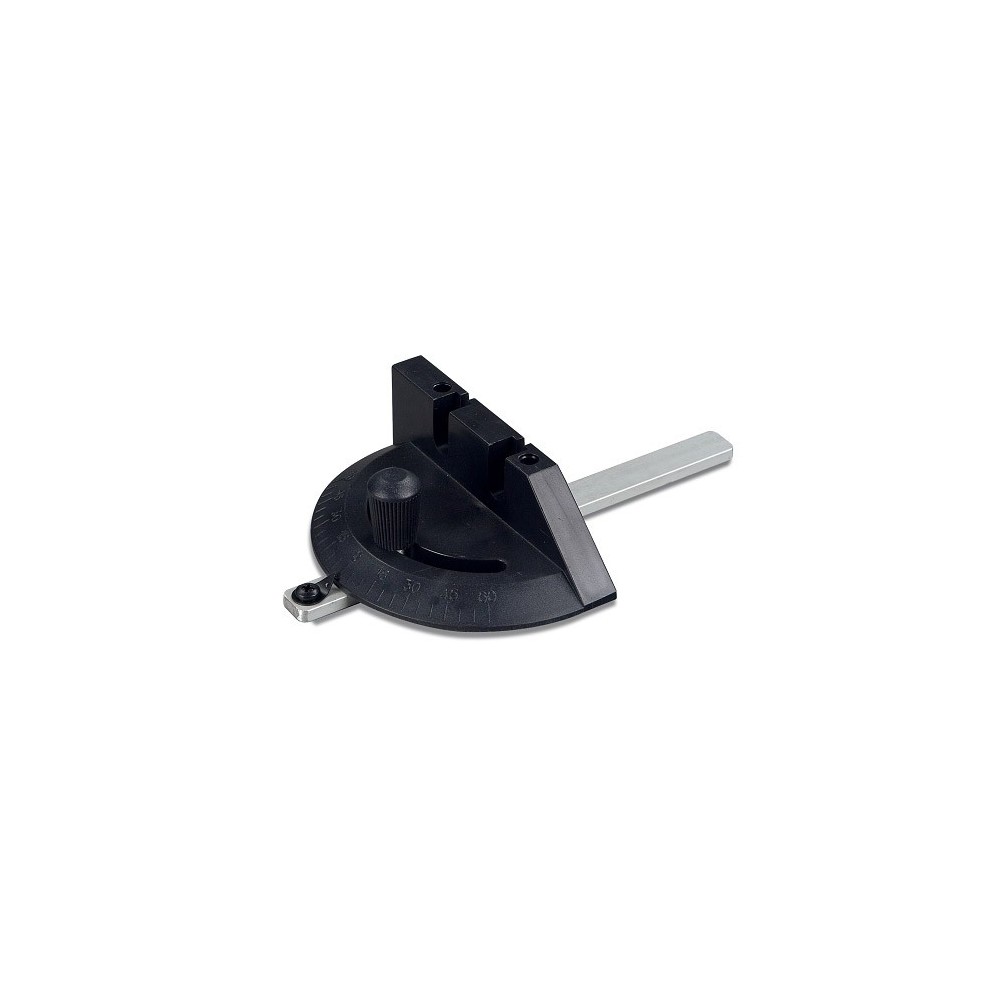 HOLZKRAFT - HOL5910810 - GUíA DE áNGULO DE LA SIERRA DE BANDA HBS 251 Dinamitek 2