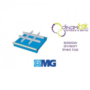 SD10001 SEPARATORI PER CASSETTI mm 100-125 CON 2 DIVISORI FESSURATI 36 U 6 DIVISORI TRASVERSALI 12 U MG LINEA TOP Dinamitek 1