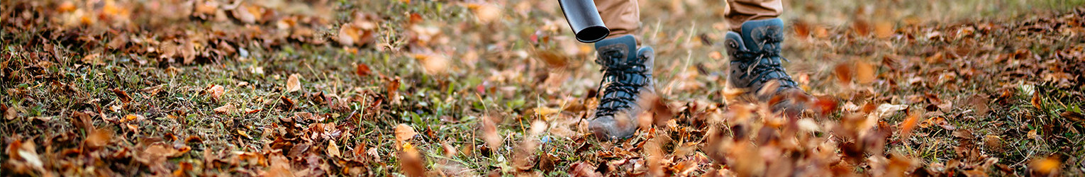 CUIDADO DEL CÉSPED EN OTOÑO: TODO LO QUE NECESITA SABER CON DINAMITEK CURA DEL PRATO IN AUTUNNO TUTTO QUELLO CHE DEVI SAPERE CON DINAMITEK