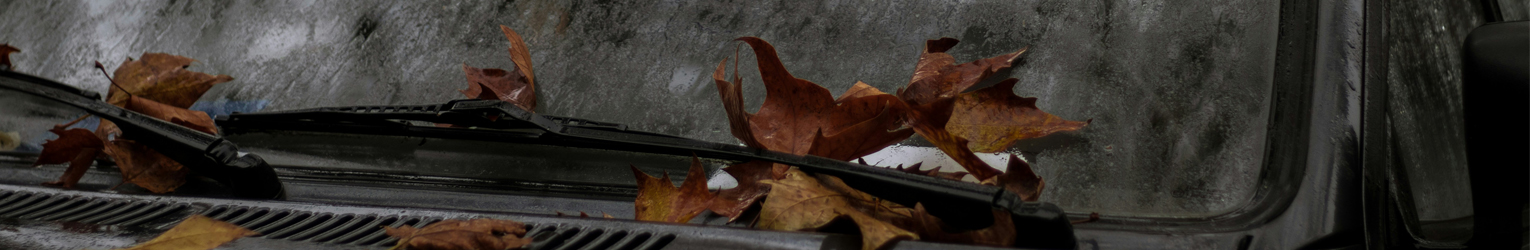 Remove resin and insects from windshields