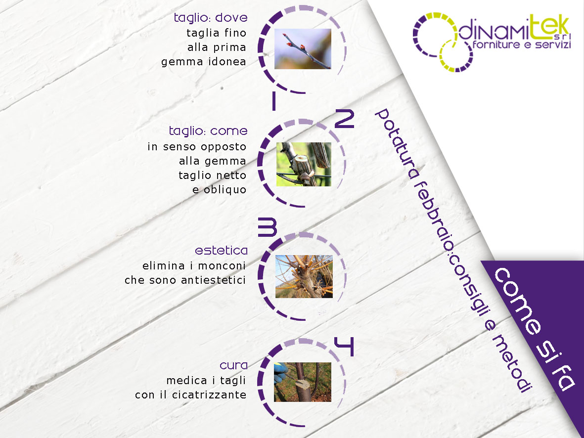 POTARE A FEBBRAIO, TUTTO QUELLO CHE DEVI SAPERE CON DINAMITEK