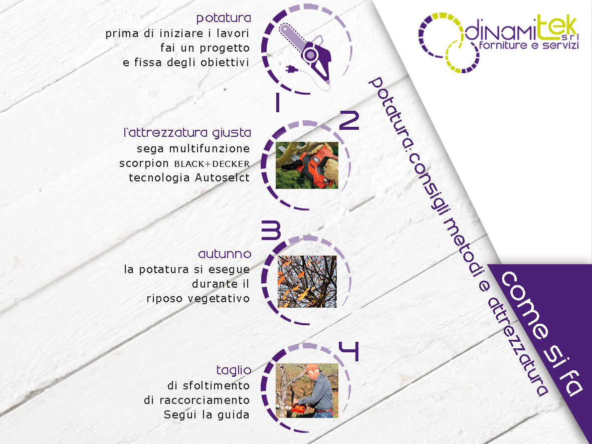 DINAMITEK PROPONE UN TUTORIAL SULLA POTATURA: METODI CONSIGLI E ATTREZZATURE PER ESEGUIRE UN LAVORO PERFETTO