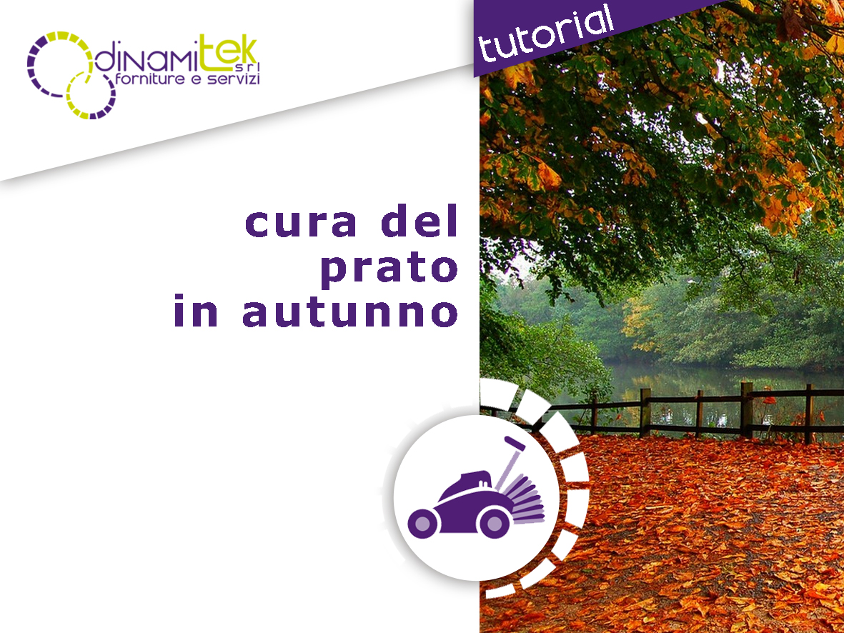 CURA DEL PRATO IN AUTUNNO TUTTO QUELLO CHE DEVI SAPERE CON DINAMITEK